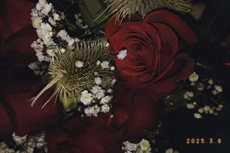 VeliraBraitberg UR FLOWERS FOR ESTER รูป  3