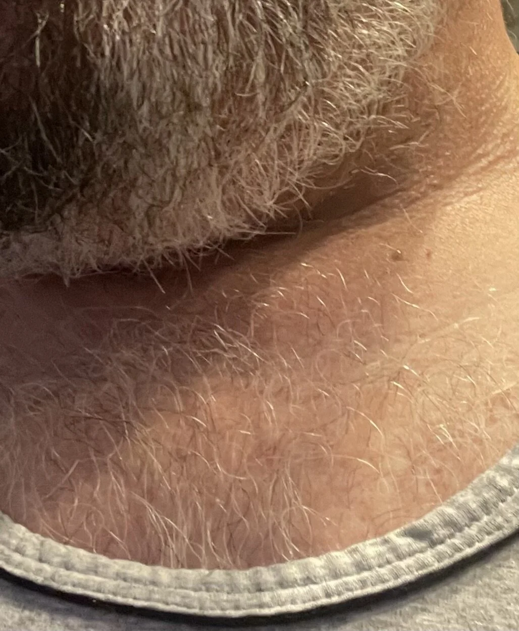 Pflaumenliebhaber Public Foto