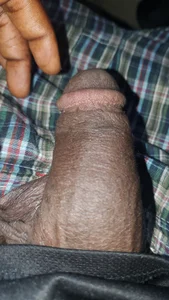 chocolate_dick1 Dick views зображення 3