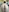 Nude selfies