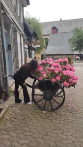 angel_demon17 Public Pic 2