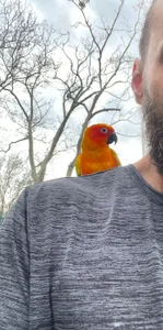 69wannaplay71 Public รูป  2