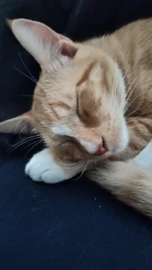 l4dyc4pricorn76 Public Pic