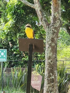 Im_miguel0 In my free time I enjoy nature 🍃🍂 Foto 4