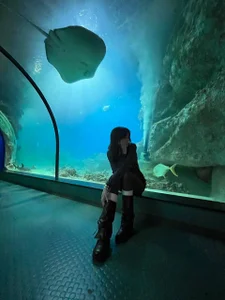 ReneeLippeatt Depths of the Ocean 사진 2