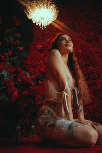 Assole Million Scarlet Roses 圖片 5