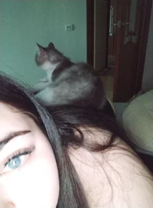 kitsune_8 Public зображення 2