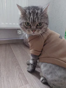 MelissaMays 😸😸😸 Immagine 