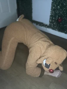 Lulu_SC kullanıcısının Roodolph actin out albümü -  5 fotoğraf