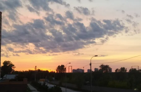 MollyLollipop I am a photographer Poză