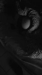 WikSebo's XXX Nude Photo 4