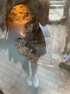 beril_kiss- Zoo Pic 3