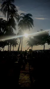 Zdjęcia Ethan_Fox11 Cute summer 🕶️☀️:  2