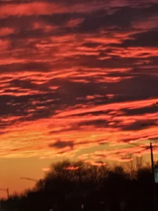 slickwill123 Public Poză 7