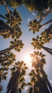 MarkMarchelloのPublicの 3枚の写真
