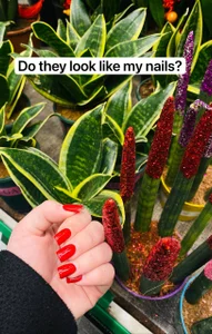 EmilyEvanse ❤️‍🔥❤️‍🔥❤️‍🔥 Billede