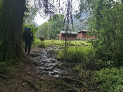 TigerStripes1_Nature Bild 2