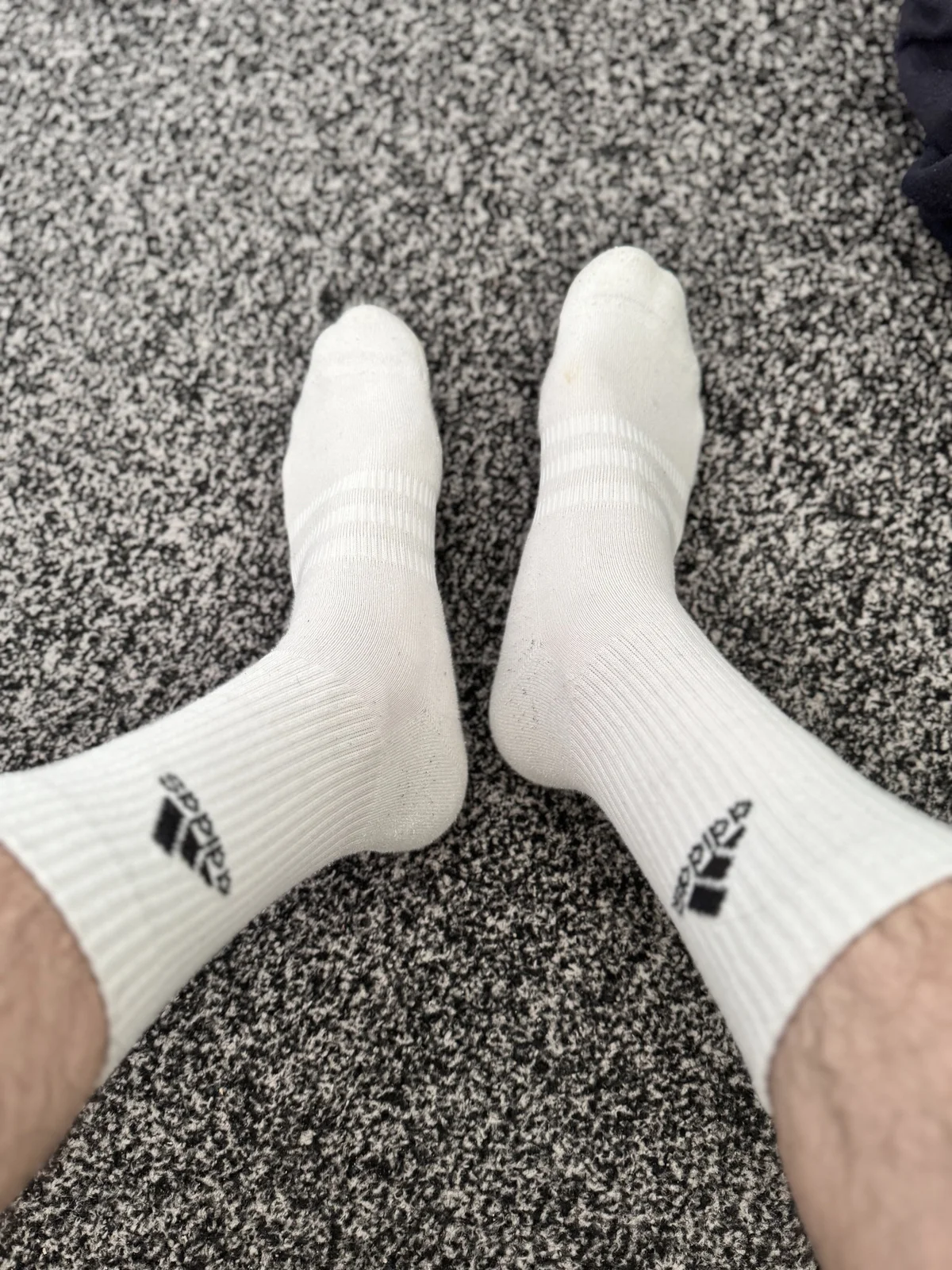 NaughtyStepson144  156. kiemelt képe