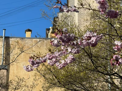 AlexFH life is beautiful slika 3