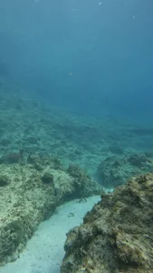 Andrew_Johnnson Mar Εικόνα