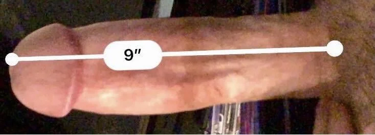 -horsecock Public Εικόνα