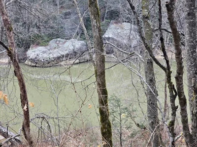 MasterForgedRayy Outdoor Adventures With MFR Hình 5