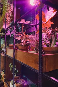 ameli_moon Welcome, my dear!💕 Pic 6