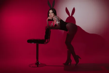 Ally_Snow: PlayBunny ( фото)