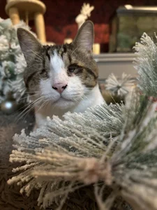 Piinkpandora kullanıcısının My Pinkis🐾 albümü -  7 fotoğraf