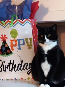 hello de sunnydude255 Foto 6