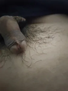 Tiger207Public图片 2