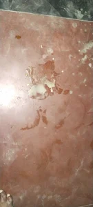 honeypani Milf Foto