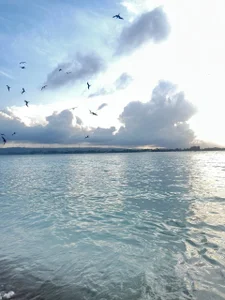 Lezy_: My vacations ( 4 фото)