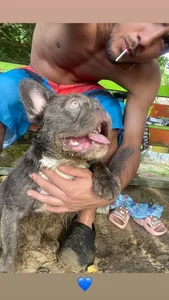 Alexx_Lordの👨‍🎨の枚の写真