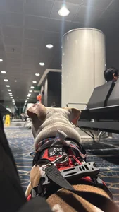 moon_lilith Public Foto 5