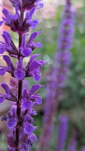 Bo0g: Nature photography ( 5 фото)