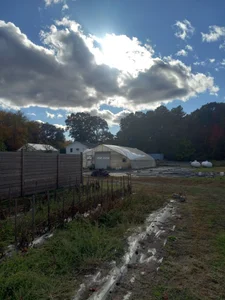 hello de sunnydude255 Foto 4