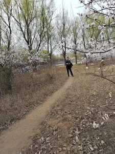 CDR6456 de cdr6456  2 Imagens