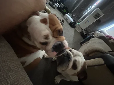 comfortinglover1 Public Pic 3