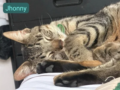 My pets 🥰💞 od mia_zafirr  3 snímek
