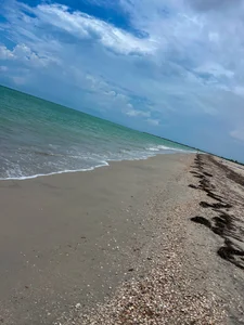 BrookeMiller Beach!! Hình 5