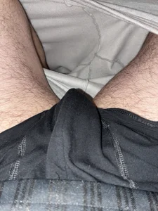 bearguy97Public Bild