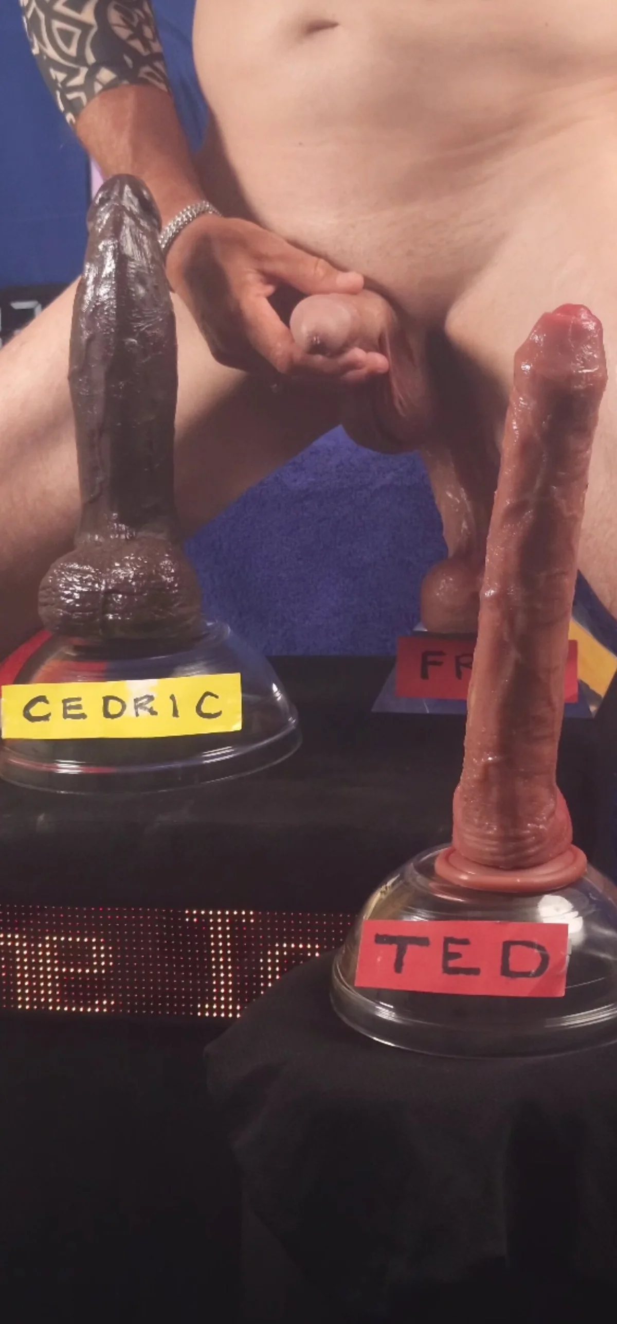 FantasyMan-BiWM  2449. kiemelt képe