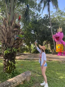 Public de niko_robin  4 Imagens