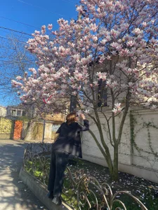 VelvetChloePublic图片 8