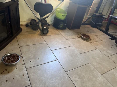 Public de str8freak23  8 photos