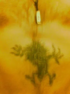 nudity od MasonWoodworker  snímek