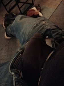 Public de Landsaw  2 photos