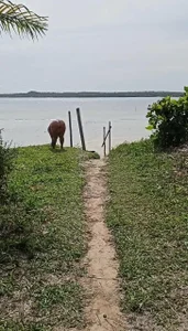 LeoaAnjaPublic Bild 8