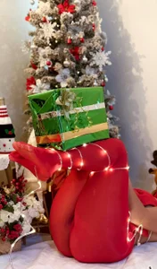 _Victoria_Collins: MERRY CHRISTMAS 2025 ( 9 фото)